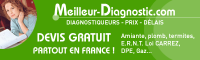 diagnostic plomb
