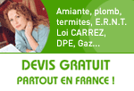 diagnostic immobilier